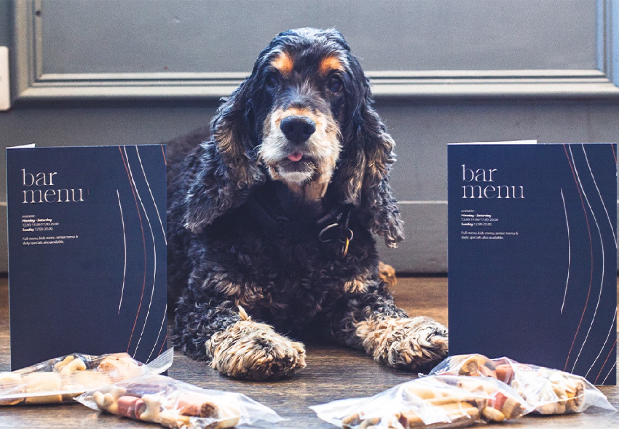 Dogs are welcome in the bar